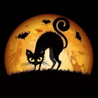 halloween_kot.webp