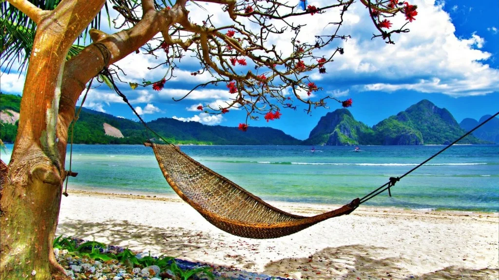Hammock-On-Beach-Seaview-1024x576.webp