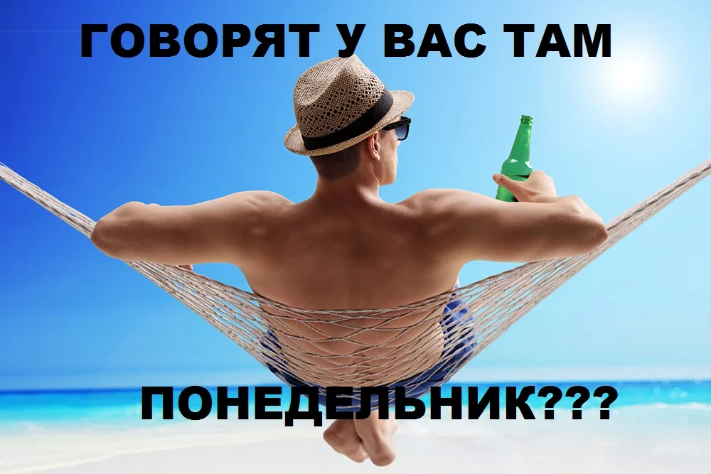 Hammock.webp