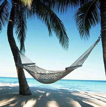 Hammock7.webp