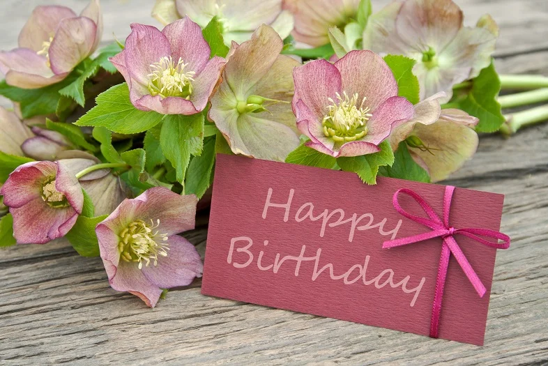 happy-birthday-flowers-cvety.webp