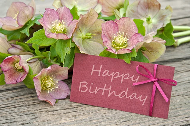 happy-birthday-flowers-cvety.webp