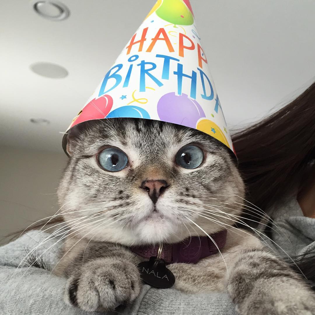 Happy-Birthday-to-Nala-funnyrepost.com-.jpg