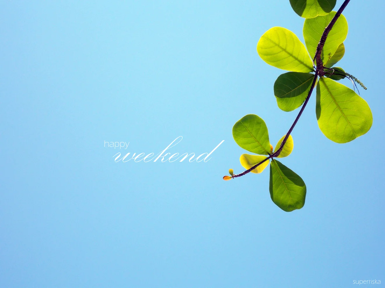 happy-weekend.webp