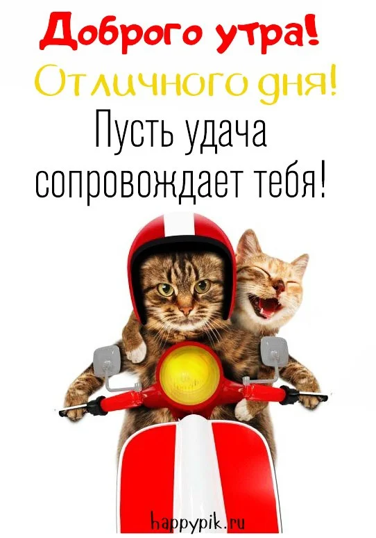 happypik.ru_dob-utr-kart133.webp