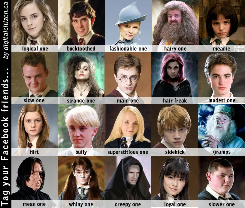 Harry-Potter-characters-harry-potter-vs-twilight-15734539-816-692.webp