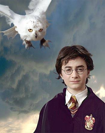 Harry_hedwig.jpg