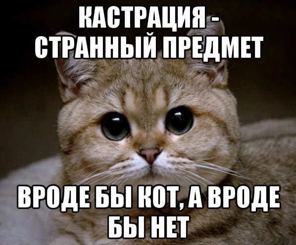 hdm_r.webp