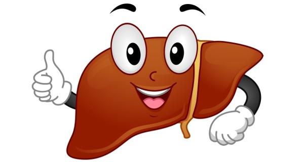 Healthy-liver[1].jpg