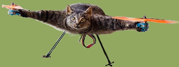 helicopter_cat.jpg