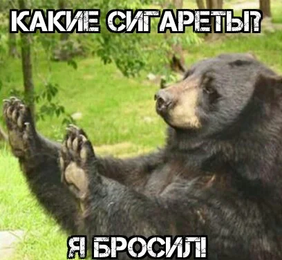 hhjjHow About No Bear 22072016080337.webp