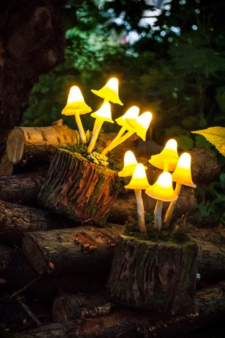 hOGm5LKD4gA (1).webp