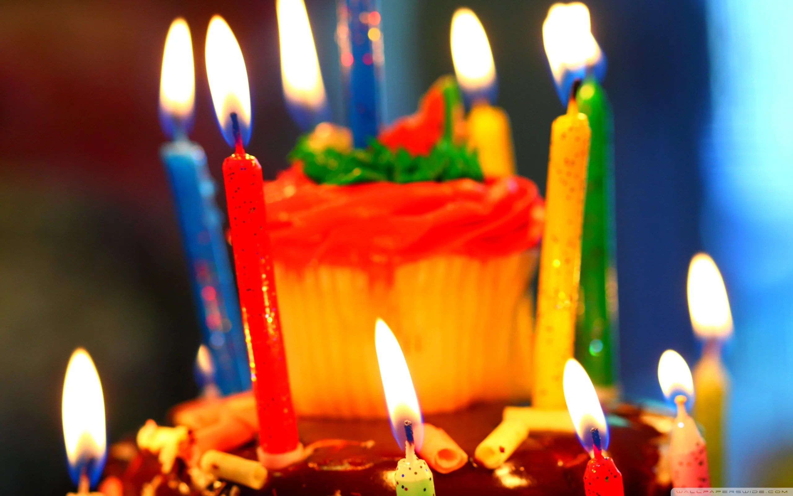 Holidays___Birthday__037853_.webp