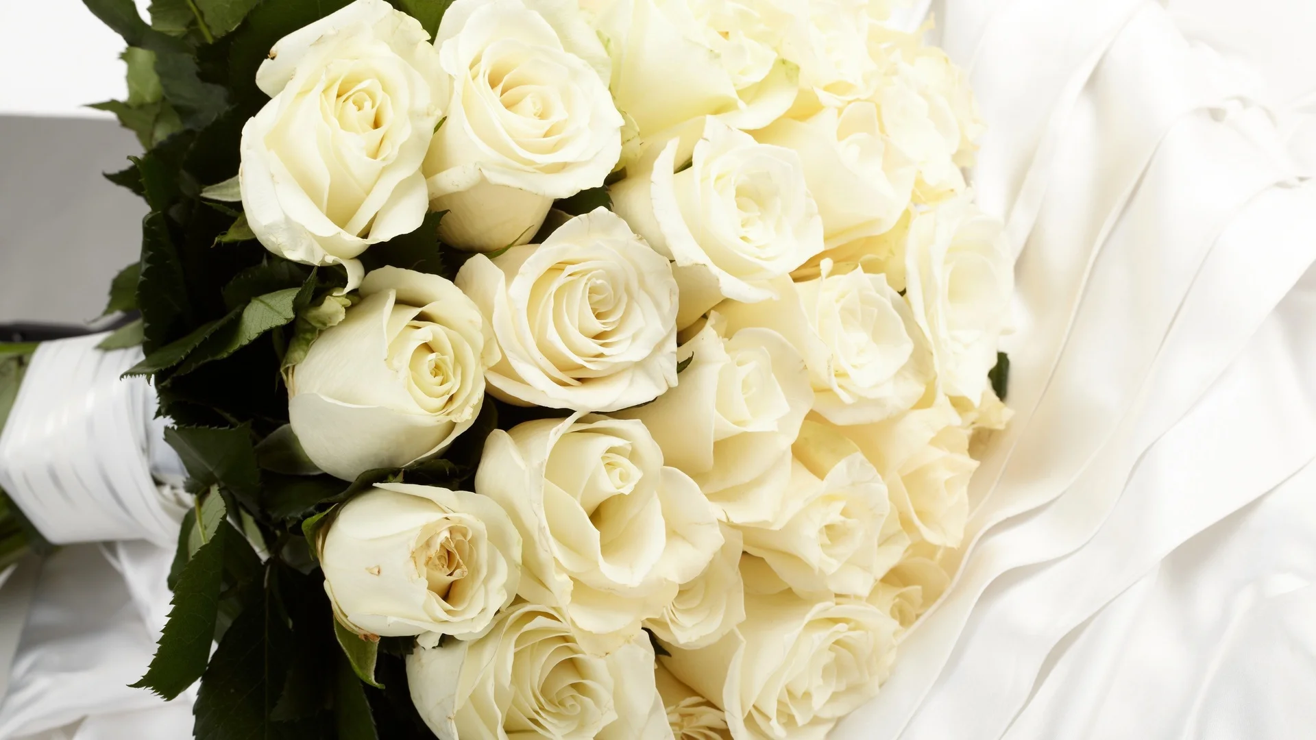 Holidays___Weddings_White_roses_in_a_bouquet_for_the_bride_056313_23.webp