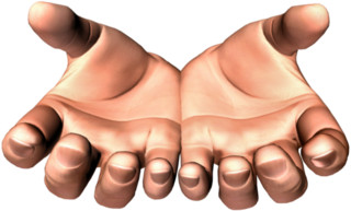 Honeyview_Hands-PNG-9.jpg