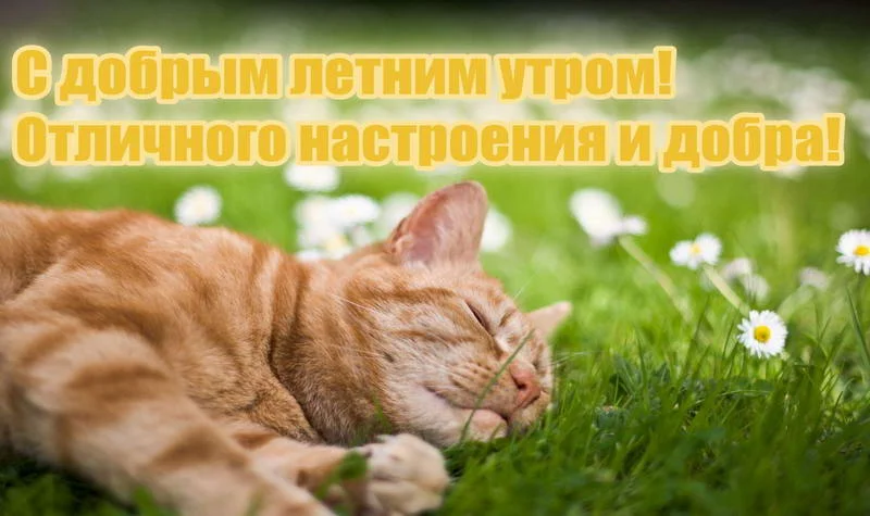 horoshego-letnego-dnya-i-dobroe-utro-67-1-1.webp