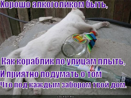 horosho-alkogolikom-byt_1288725697.jpg