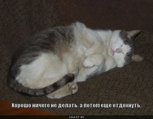 horosho-nichego-ne-delat_1289190640.webp