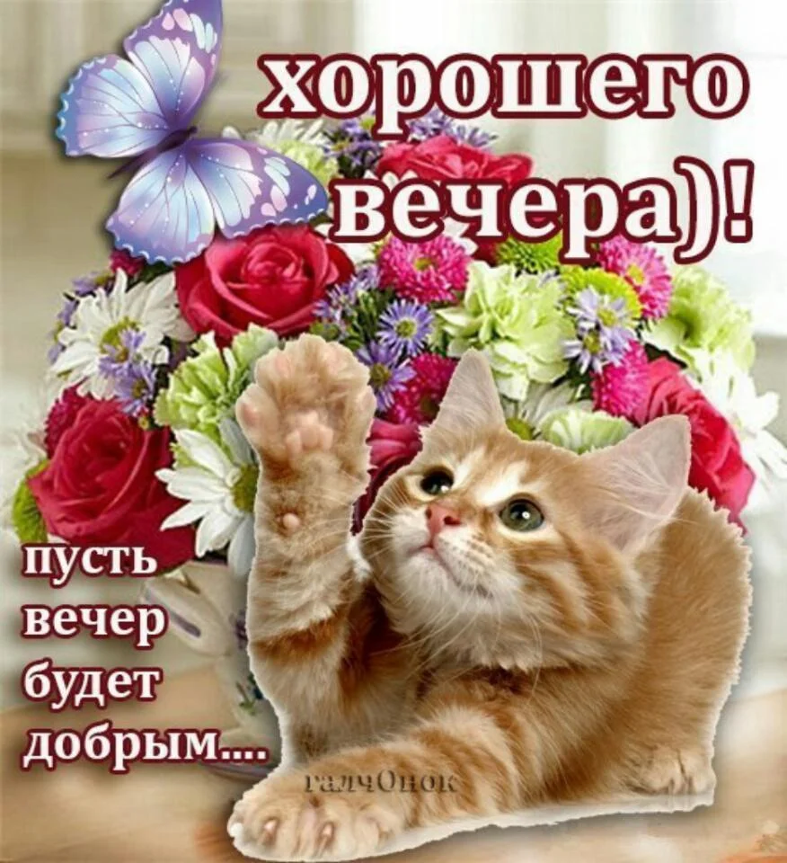 horowego_vechera_[TENGSIZ.RU].webp