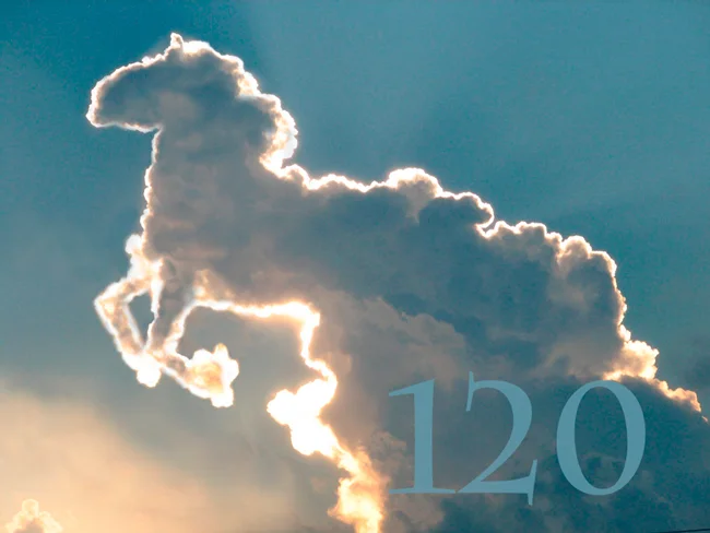 horse-cloud.webp