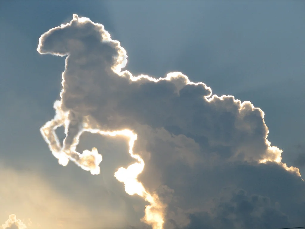 horse-cloud.webp