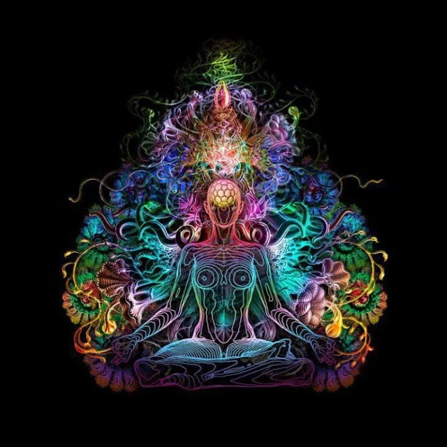 How do our emotions affect our emotions and moods.webp