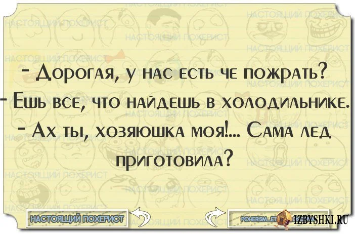 hozyayushka_kartinki_smeshnye_2_01140612.webp