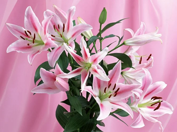 hpVUK.webp