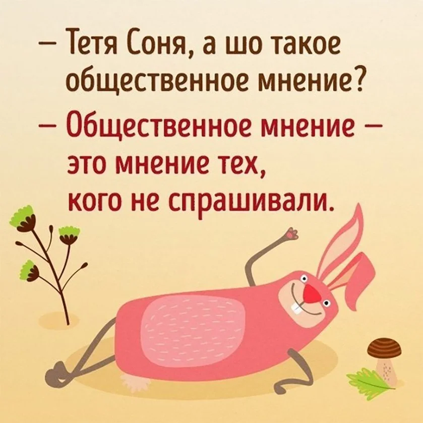hqx4ZB_CkOk.webp