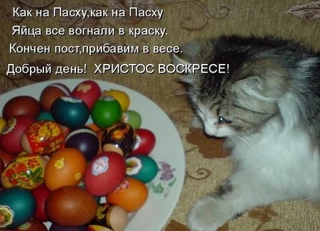 Hristos-voskrese-pozdravlenie-s-Pashoy-pozhelanie-1.webp