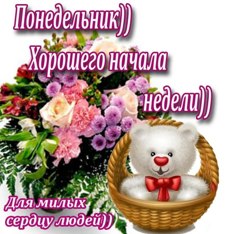 hSisB_8nOtk.webp