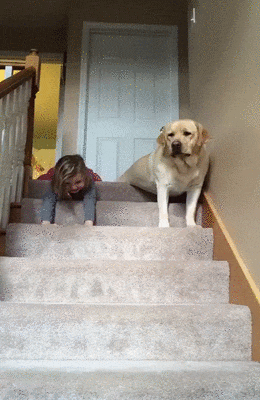 https__vk_com_gif_fak (1).gif