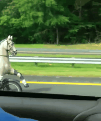 https__vk_com_gif_fak (17).gif