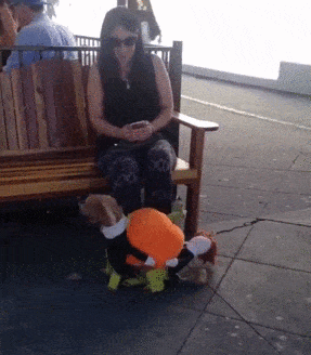 https__vk_com_gif_fak (5).gif