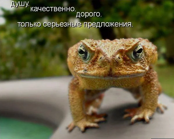 huge.webp