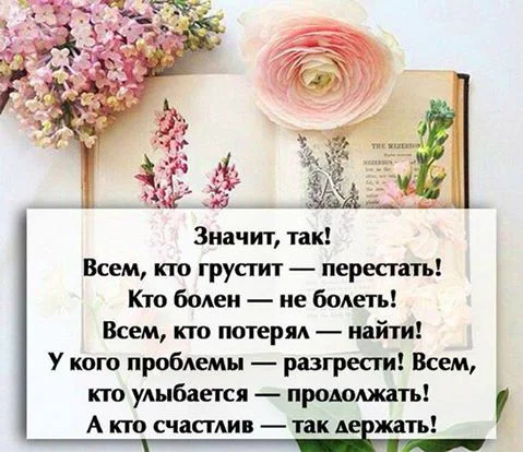 hux3hYW15OQ.webp