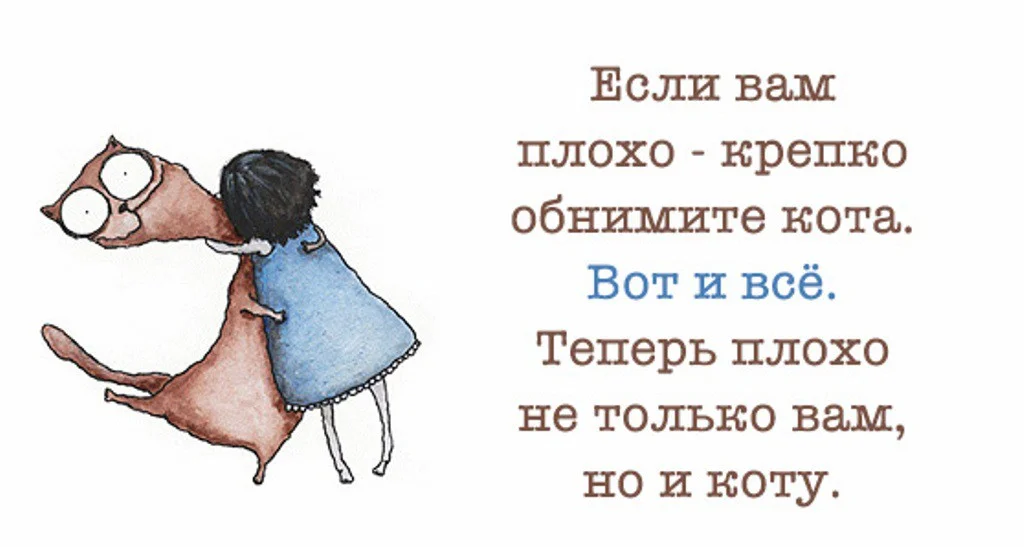 hwxuwgfbdozhteuddmexo.webp