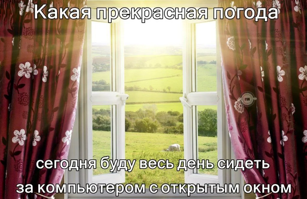 hyFWk5tJmBs.webp