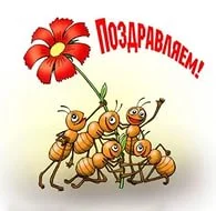 i (1).webp