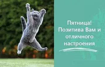i (1).webp