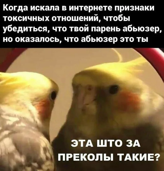 i (1).webp