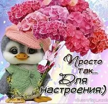 i (13).webp