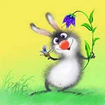 i (2).webp