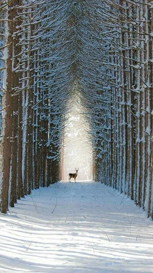 i - 2022-01-30T124640.236.webp