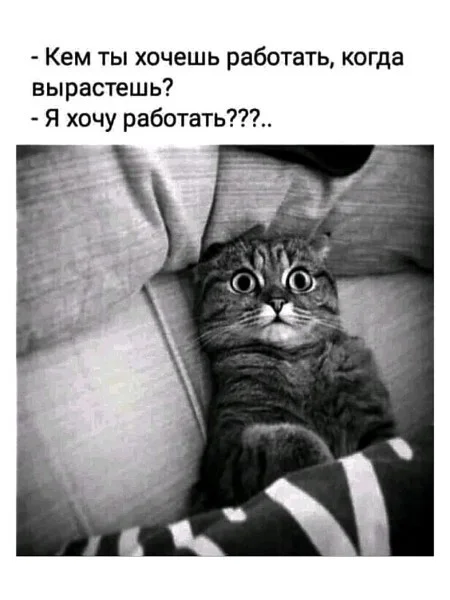 i - 2022-02-15T203759.748.webp