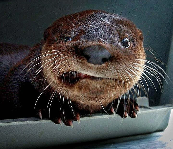 i - 2022-02-15T210019.669.webp