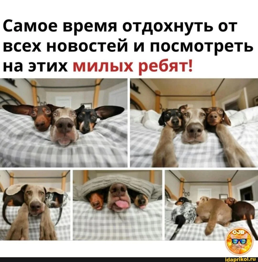 i - 2022-02-17T211023.751.webp