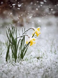 i - 2022-02-27T171038.588.jpeg