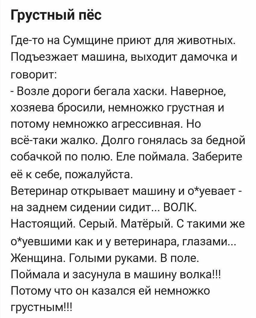 i - 2022-04-01T220206.329.webp