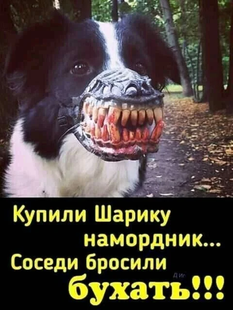 i - 2022-04-06T184308.539.webp